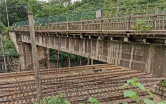 株洲夾子沖3#橋、株洲時代大道既有跨線人行天橋檢測項目